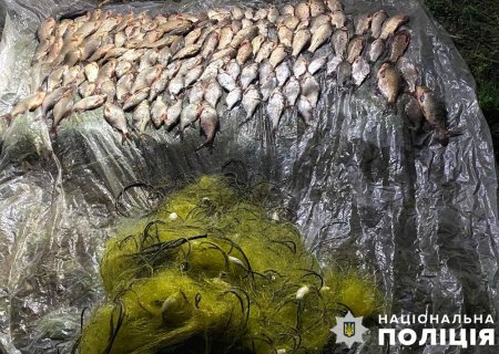 Поліція піймала трьох незаконних рибалок, які розставляли сітки
